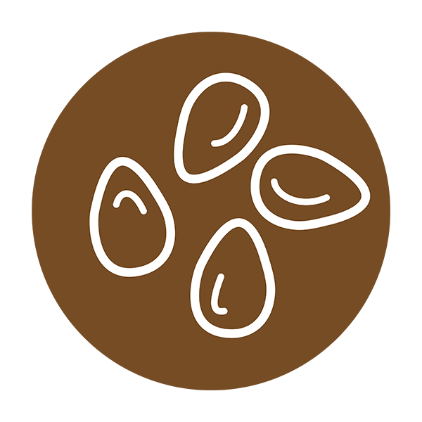 A sesame icon.