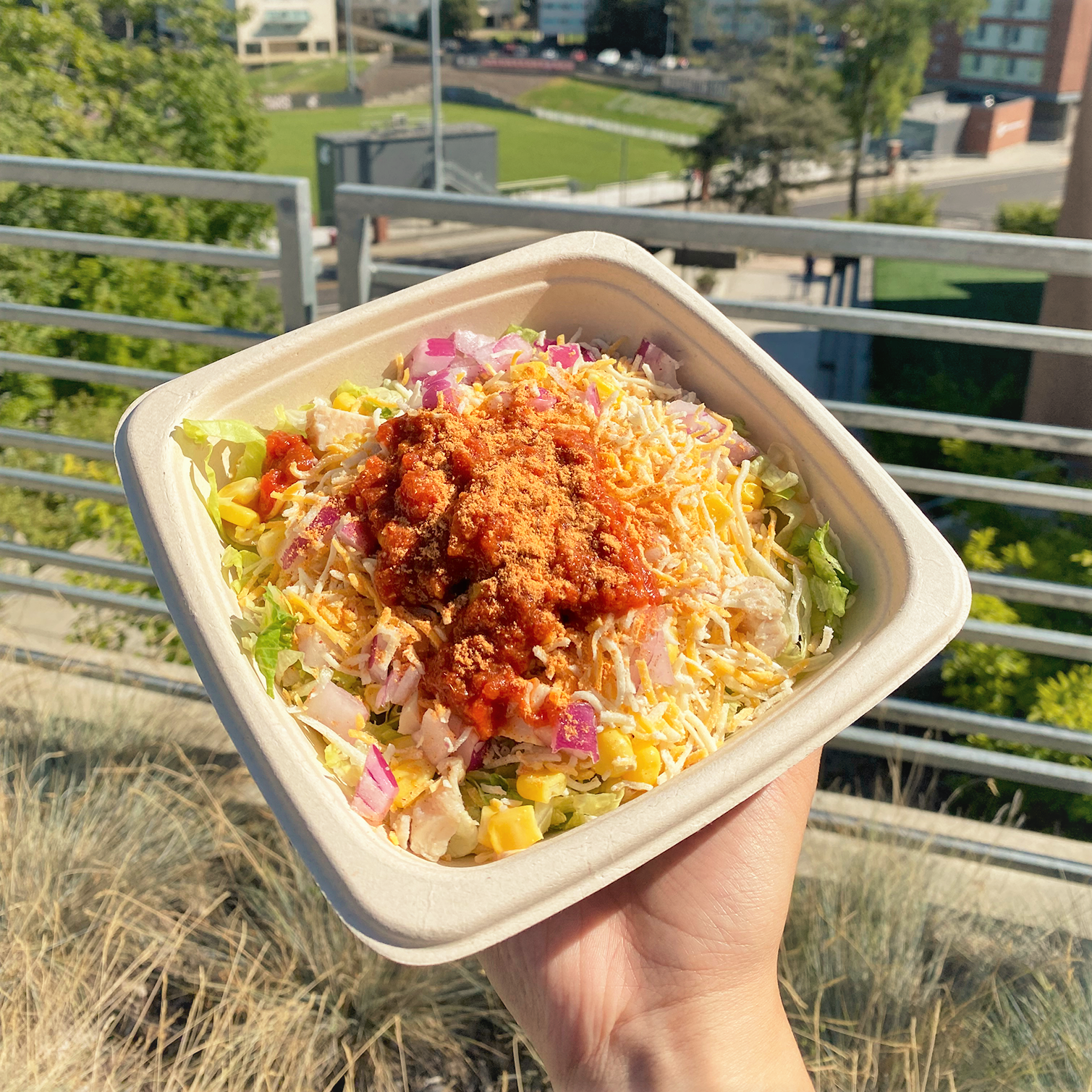 A Freshens bowl full of veggies and protein.