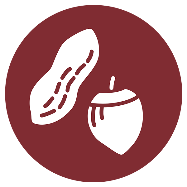 A nut icon.
