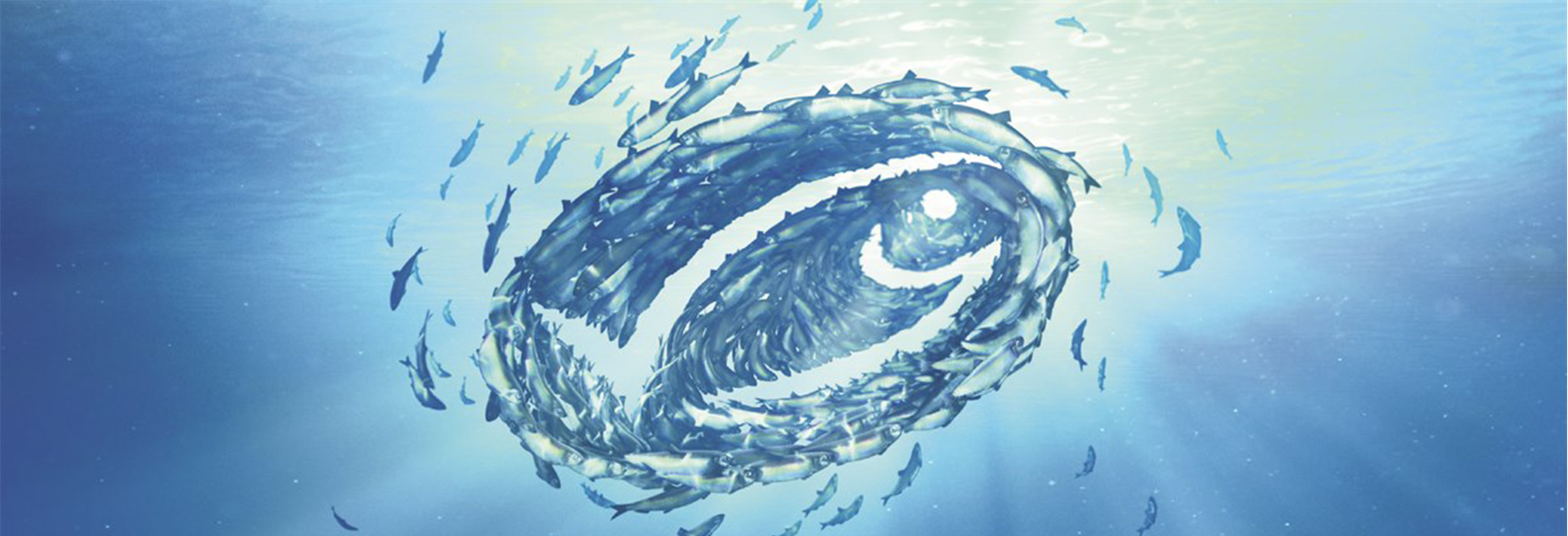 Marine Stewardship Council Certification logo