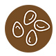 sesame icon