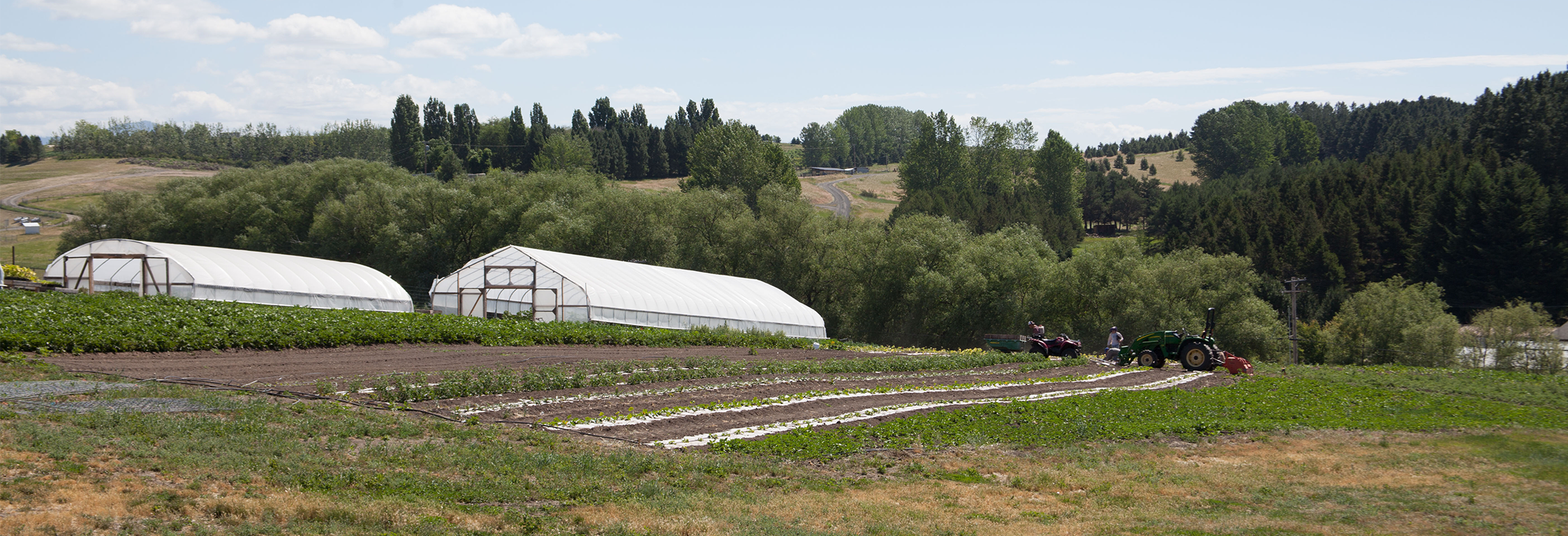 farm with large greenhouses