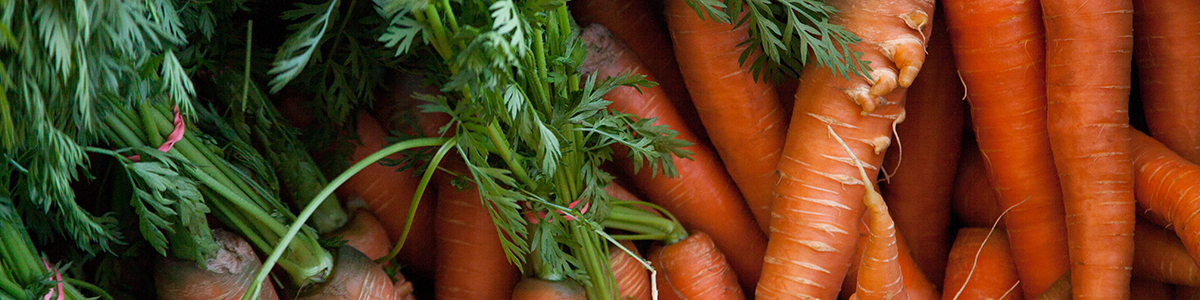 Carrots.